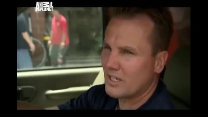 Animal Cops Philadelphia 12_ Cat Killer