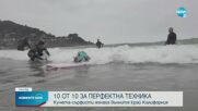 Кучета-сърфисти яхнаха вълните край бреговете на Калифорния