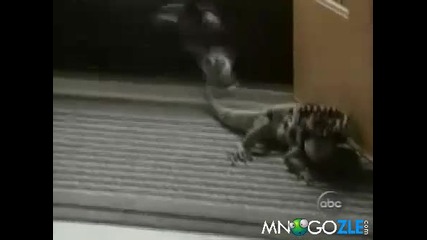 Компилация от много смях