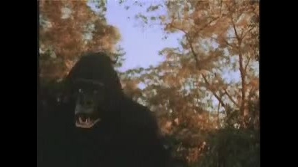 Mighty Gorga_трейлър