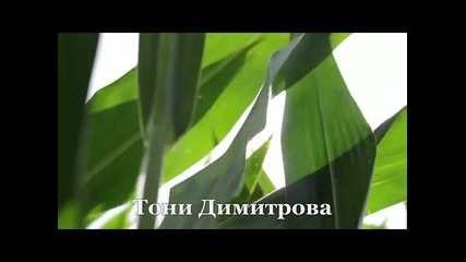 Тони Димитрова-между два сезона