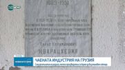 Грузинският чай се завръща на пазарите