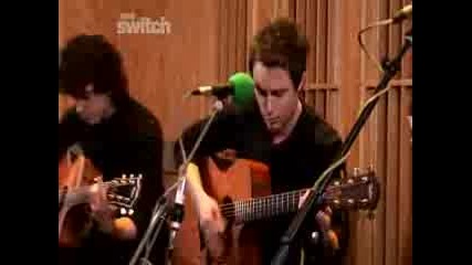 Paramore-Loves not a competition(cover)