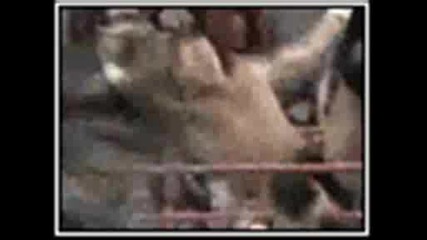 Rated Rko New Video 
