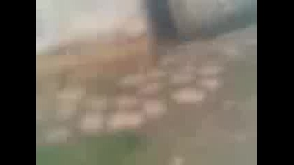 Gasi