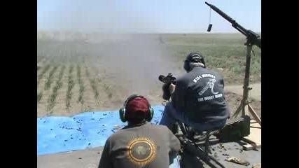 M134 (звяра)