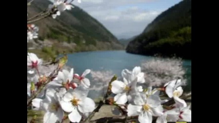 Любовни сезони 