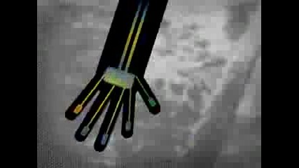 In Rainbows Music Video Contest