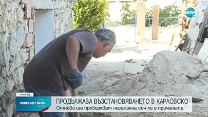 Отново проверяват имало ли е незаконна сеч в Карловско