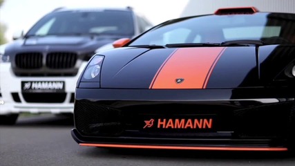 New Hamann Bmw X6 
