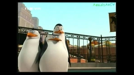 Пингвините от Мадагаскар Сезон 1 Епизод 5 Бг Аудио hq 