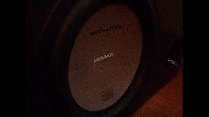 Evolution 12 bass