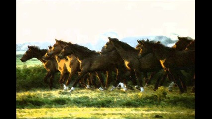 Riders of Rohan ~ David Arkenstone