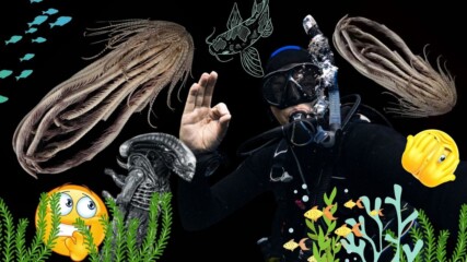 Вижте нов вид „морско чудовище“ с 20 ръце!😱