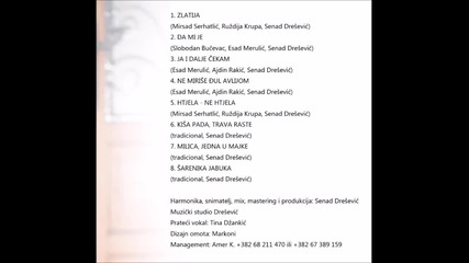 Esad Merulic - Kisa pada, trava raste - (audio 2014)