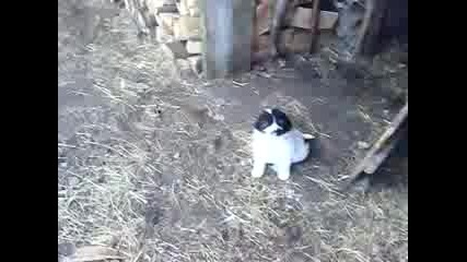 26122008049.mp4