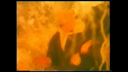 dj mcm:masterboy - land of dreaming.flv