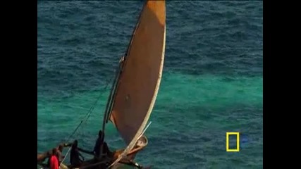 National Geographic - Западен Индийски Океан