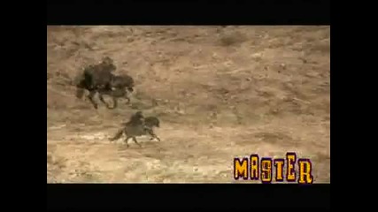 Zorro, la espada y la Rosa - Promo Trailer