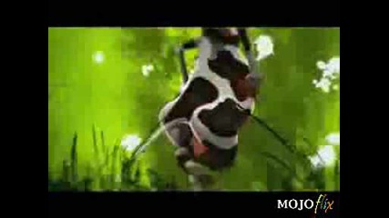 Crazy Cow Song.avi