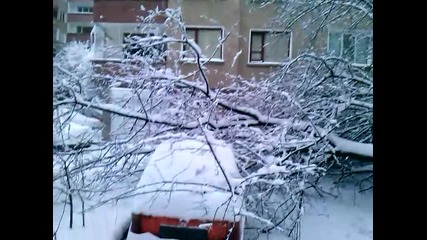 Срещу пиродата колата няма шанс