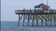 New Shark Attack Reported in North Carolina