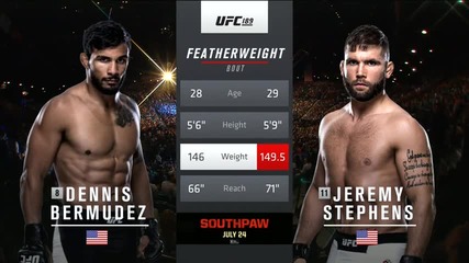 Dennis Bermudez vs Jeremy Stephens (ufc 189, 11.07.2015)