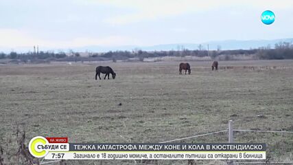 Тежка катастрофа между коне и кола в Кюстендилско