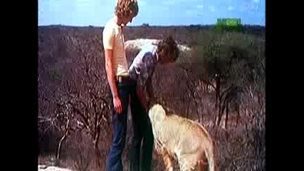 A Lion Called Christian - First Night in Africa