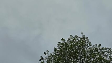 Су-57-8-2021.mp4