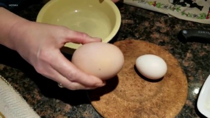 Каква изненада крие едно необичайно голямо яйце ..