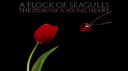 A Flock Of Seagulls - European ( I Wish I Was )