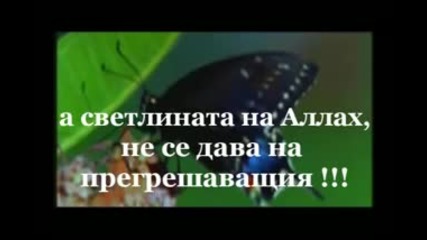Жалвах се на Векиа 