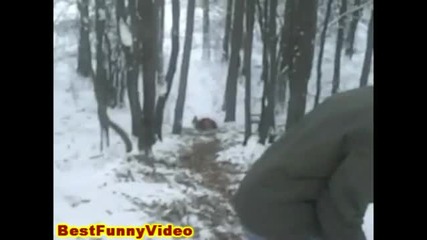 Пързаляне По Снега + Челен Удар В Дървото
