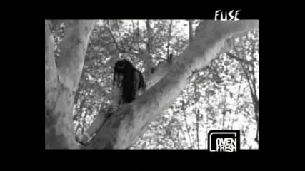 Evanescence - The End