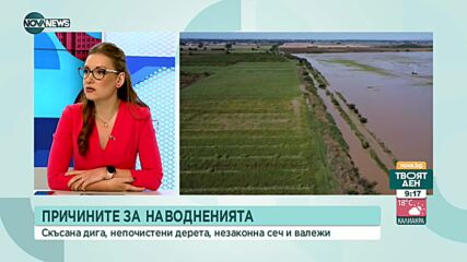 Учени: Винаги, когато има сеч, това допринася за влошаване на ситуацията