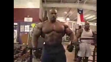 Ronnie coleman bicep