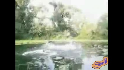 Компилация Смях