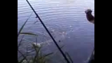 Видео-0001_113