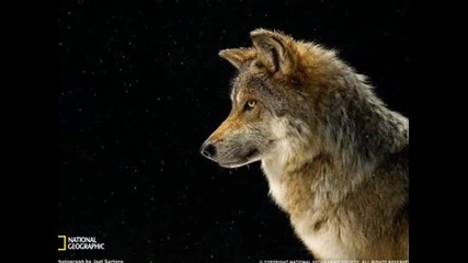 Спиращи дъха фотографии на National Geographic