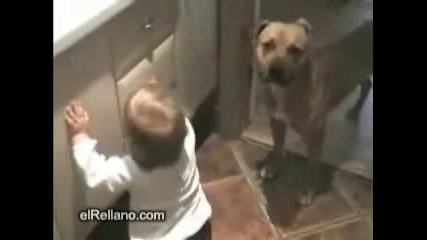 Куче Пази Бебе