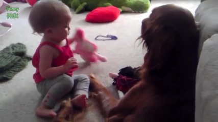 Компилация Смях - Funny Babies Talking to Dogs Compilation 2014