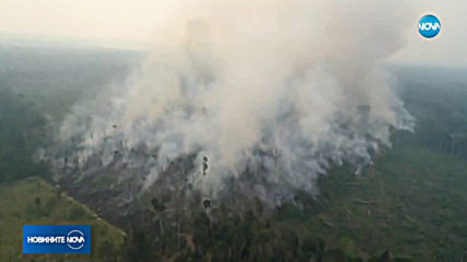 Бразилия заяви, че е отворена за помощ срещу амазонските пожари