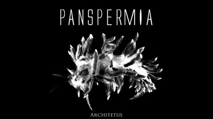 Panspermia - Underwater Noise 2 