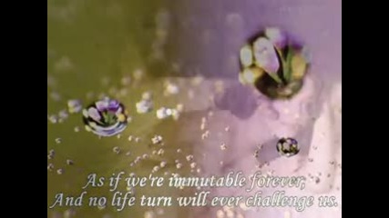 Тhe most beautiful Love Poem