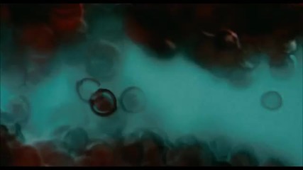 The Skin I Live In Trailer 2011 Official