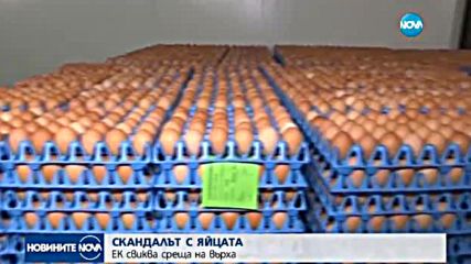 Среща на върха за скандала със заразените яйца в Западна Европа
