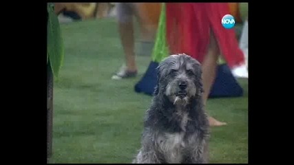 Vip Brother - Памела Танцува Хоро