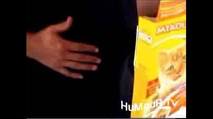 Cat Food