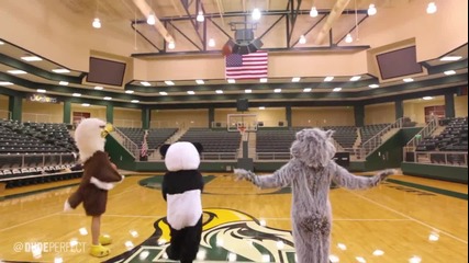 Mascot School - Dude Perfect